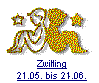 Zwillinge